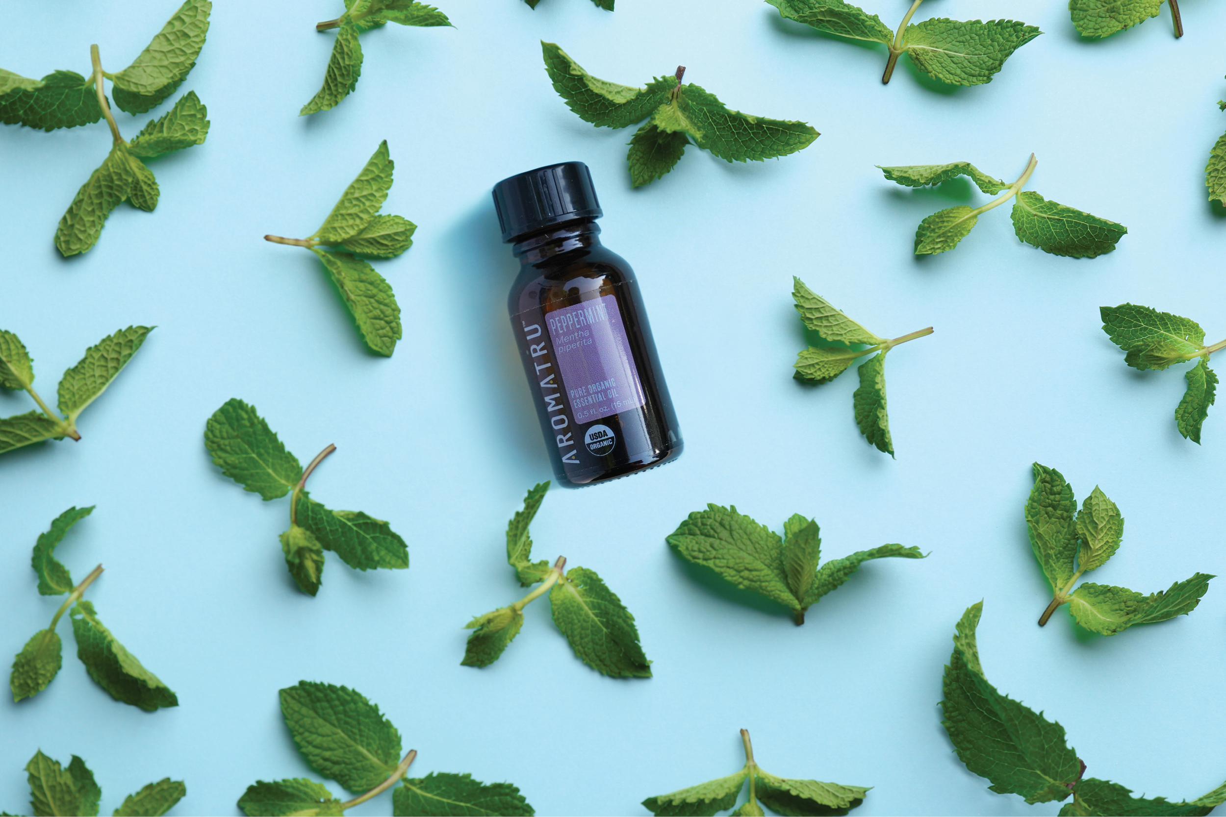 Refresh with Organic Peppermint Oil