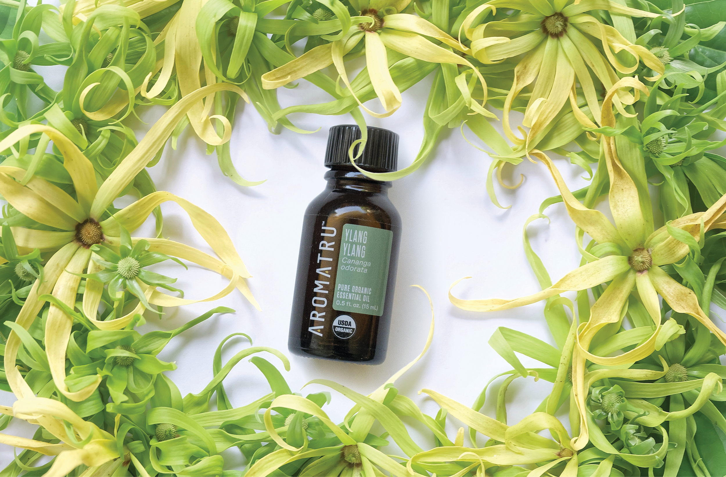 Transport Yourself with Ylang Ylang Essential Oil