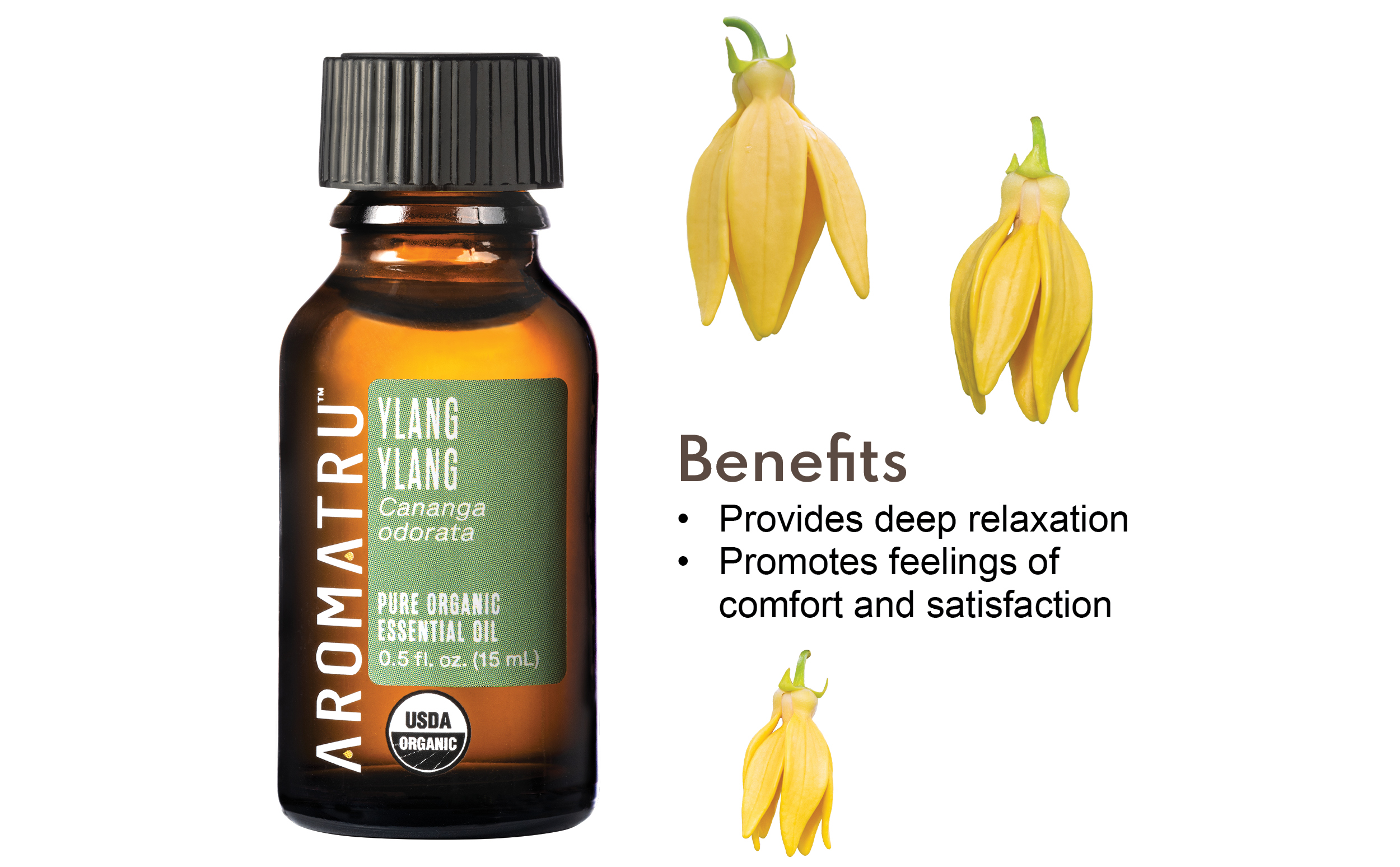 Ylang Ylang: What Does it Smell Like?